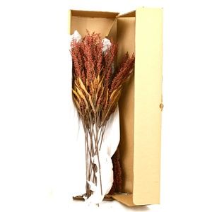 PETALS BURGUNDY FLORAL BRANCHES STEMS